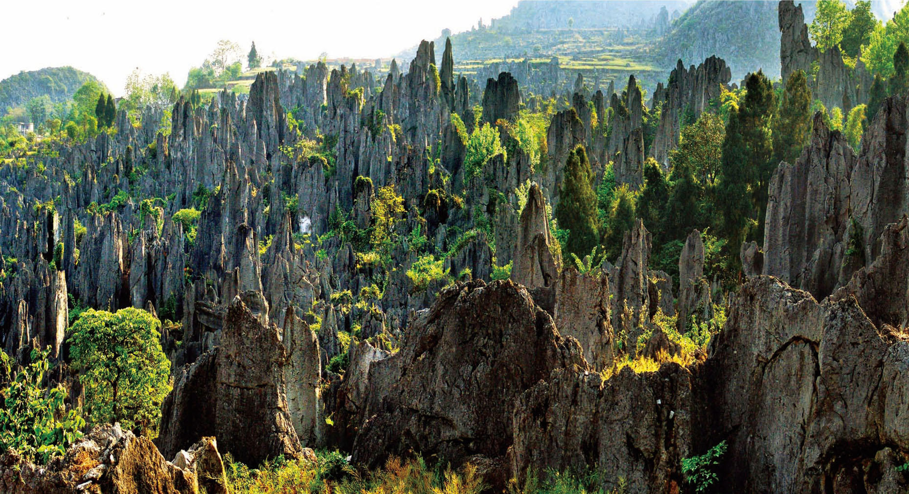 泥凼石林- 贵州数字出版云村寨平台